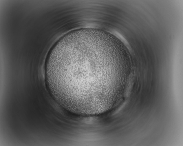 X0000089860891200707121734