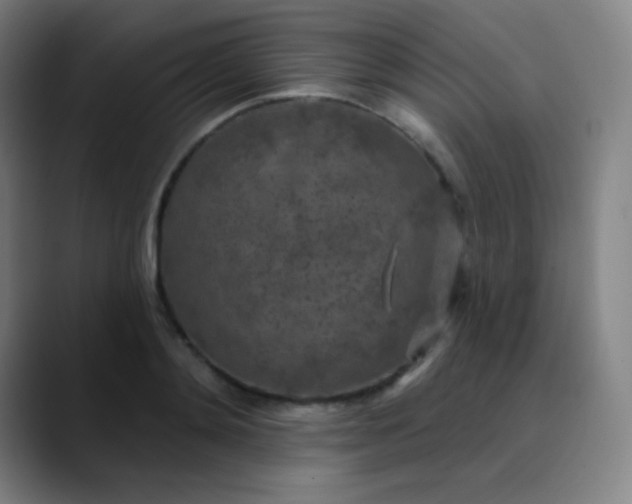 X0000089860892200707121734