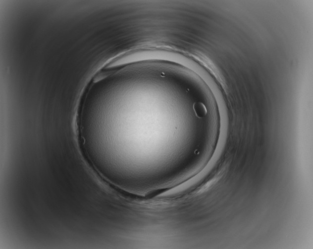 X0000089860893200707121734