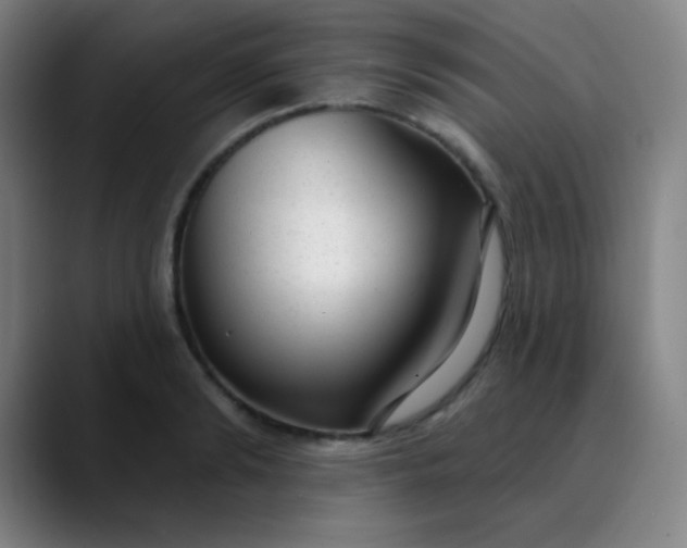 X0000089860894200707121734