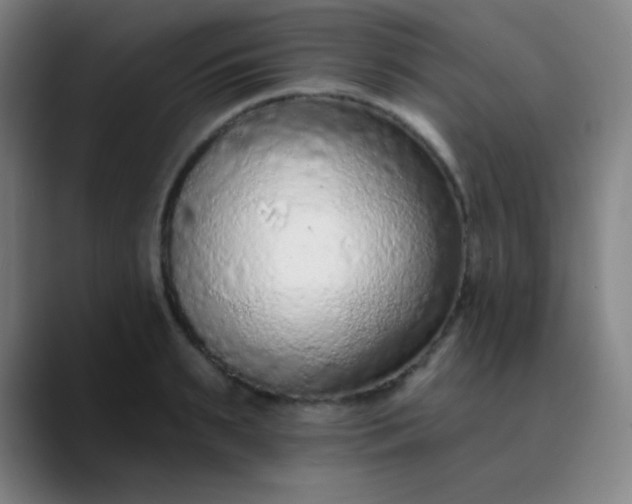 X0000089860895200707121734