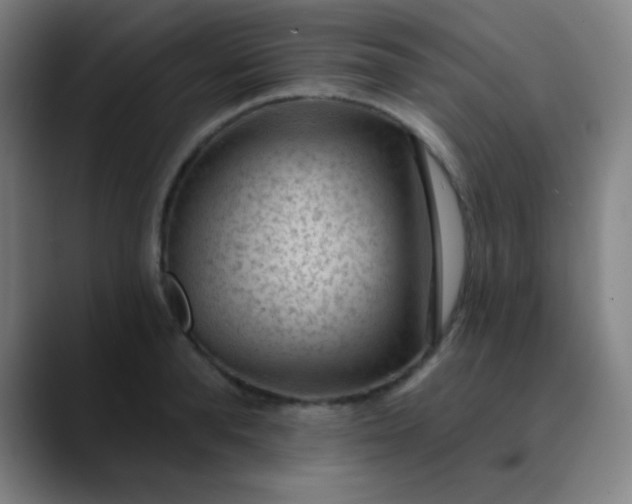 X0000089860896200707121734