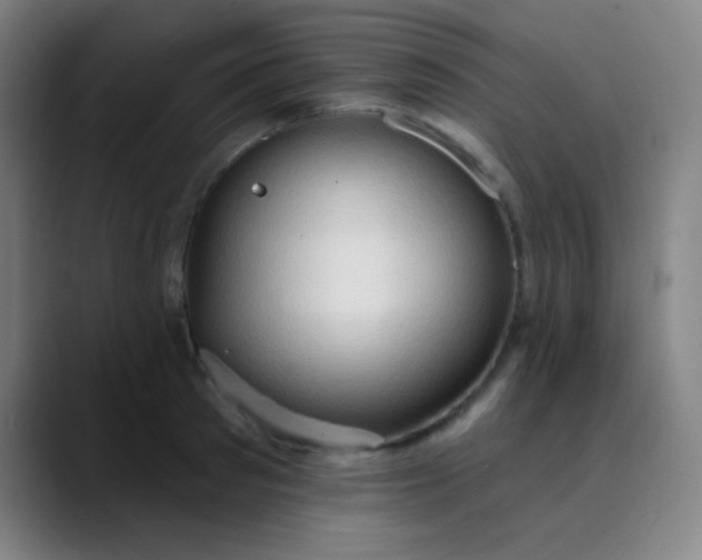 X0000089860897200707121734