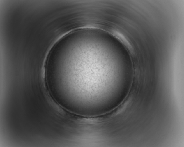 X0000089860900200707121734