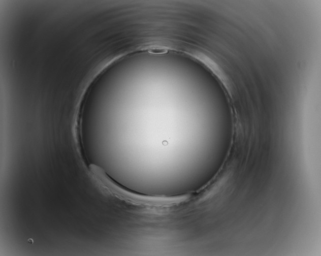 X0000089860901200707121734