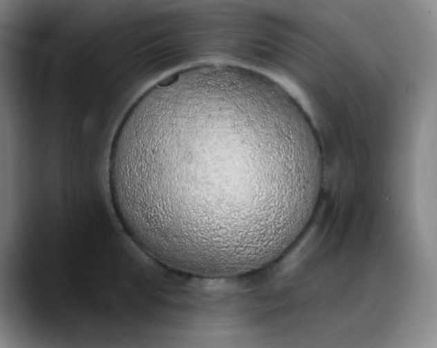 X0000089860903200707121734