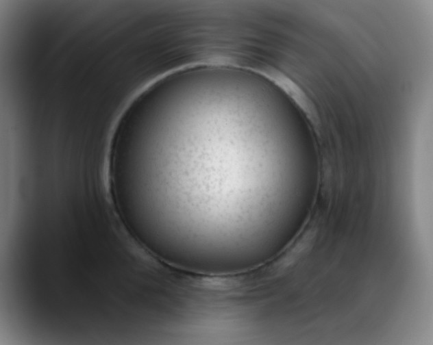 X0000089860904200707121734