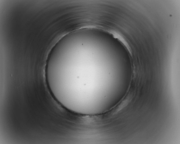 X0000089860906200707121734