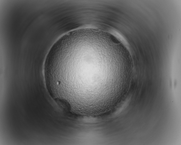 X0000089860907200707121734