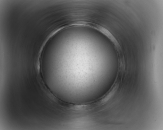 X0000089860908200707121734