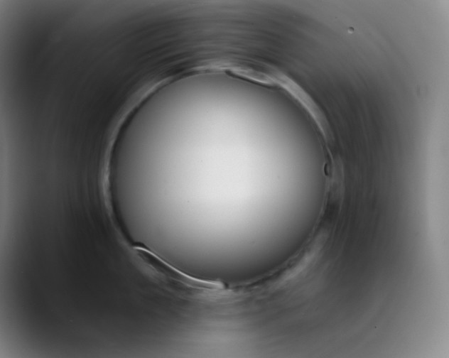 X0000089860909200707121734