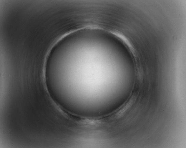 X0000089860910200707121734