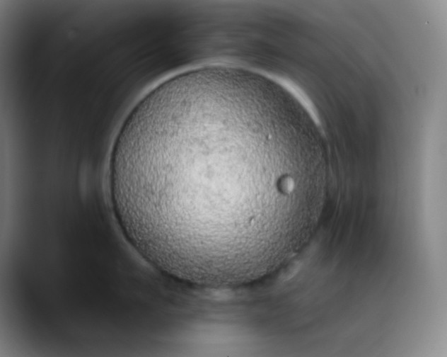 X0000089860911200707121734