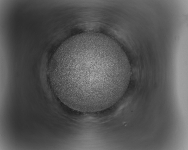 X0000089860913200707121733