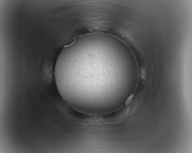 X0000089860915200707121733