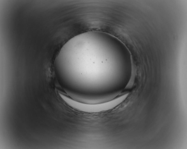 X0000089860916200707121733