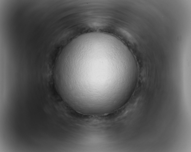 X0000089860917200707121733