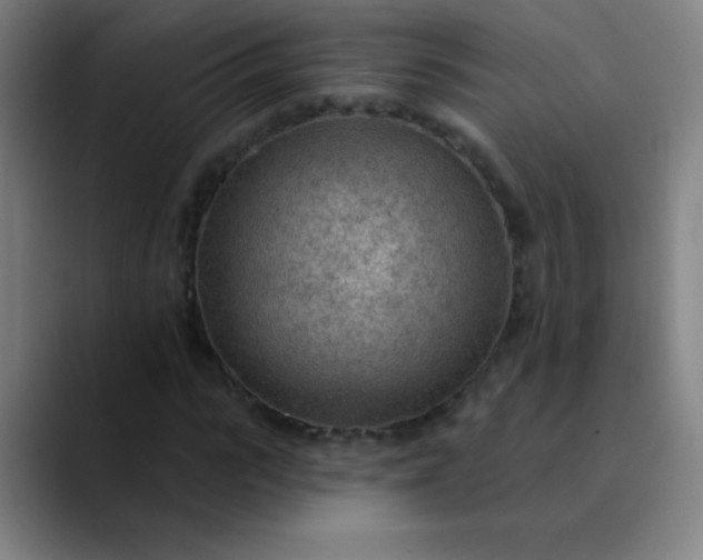 X0000089860919200707121733