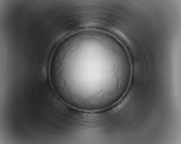 X0000089860921200707121733