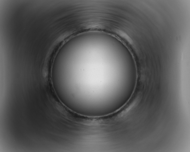 X0000089860922200707121733