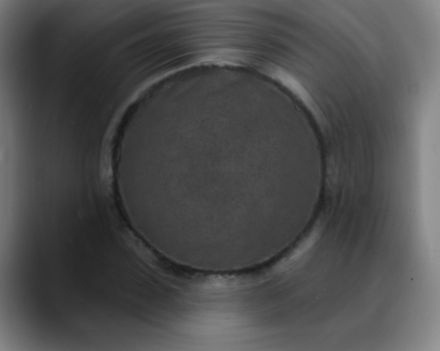 X0000089860923200707121733