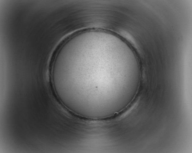 X0000089860924200707121733