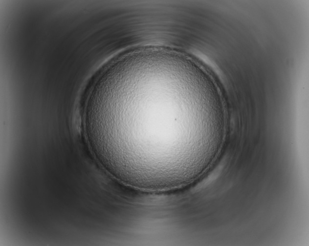 X0000089860925200707121733