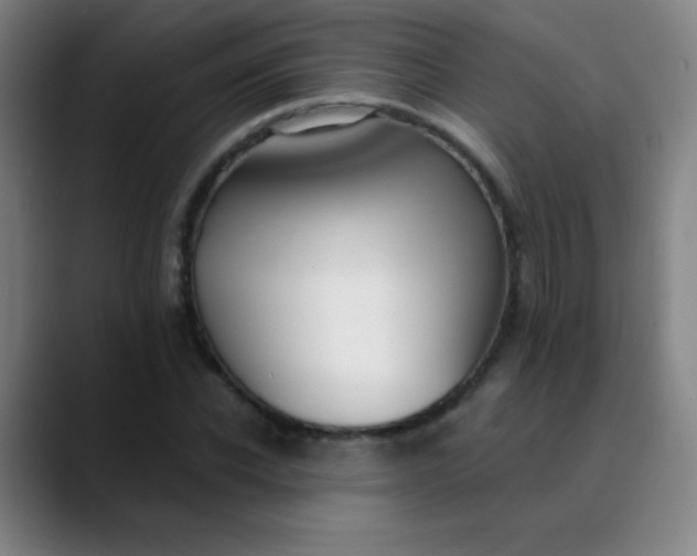 X0000089860926200707121733