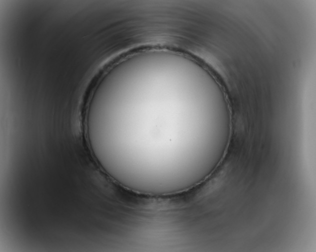 X0000089860927200707121733