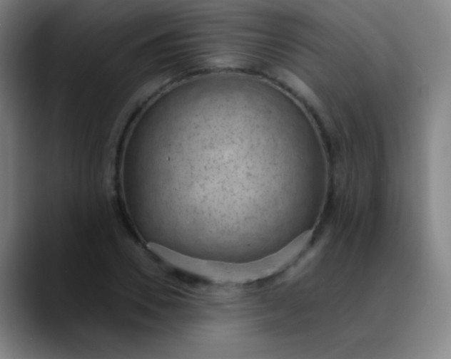 X0000089860930200707121733