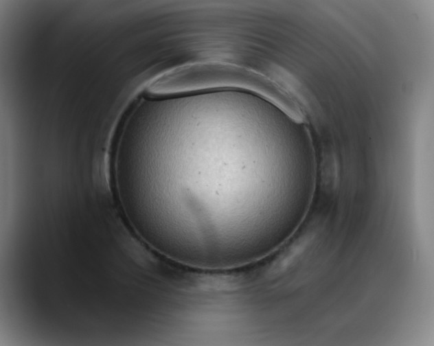 X0000089860932200707121733