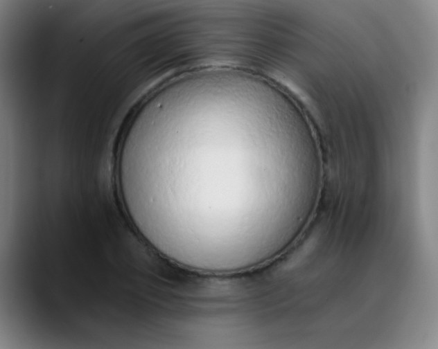 X0000089860933200707121733