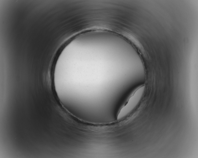 X0000089860936200707121733