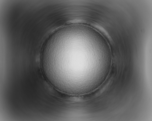 X0000089860937200707121733