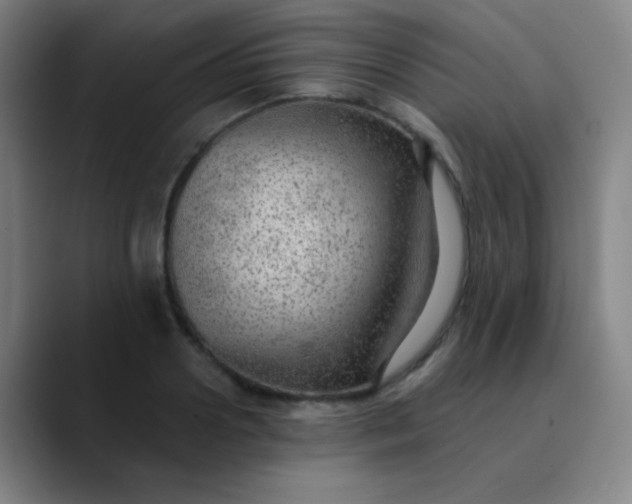 X0000089860938200707121733