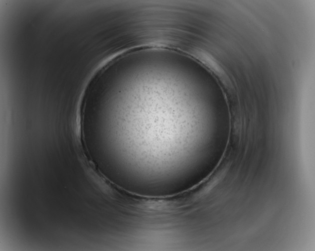 X0000089860940200707121733