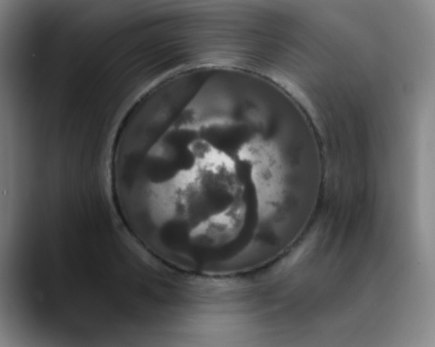 X0000089860941200707121733