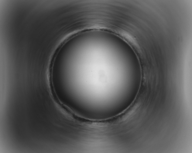 X0000089860942200707121733