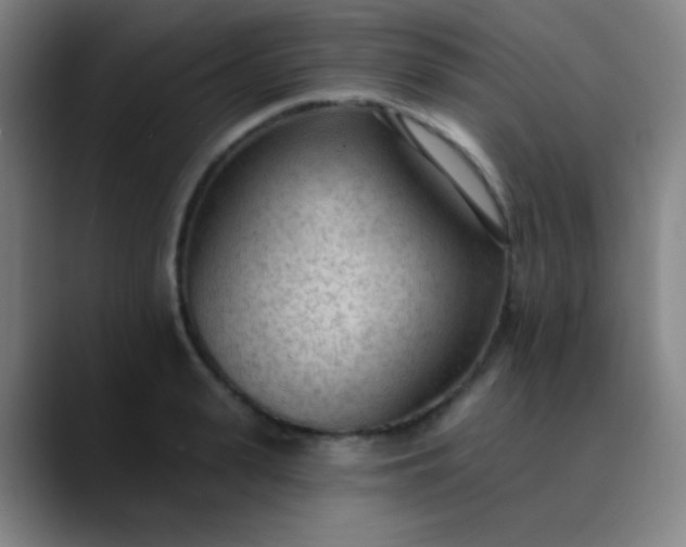 X0000089860943200707121733