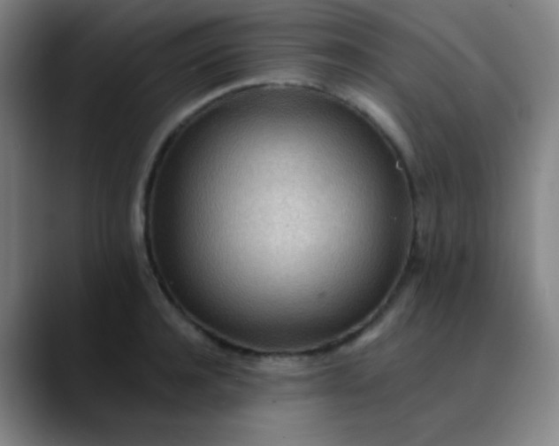 X0000089860944200707121733