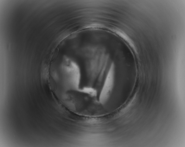 X0000089860945200707121733