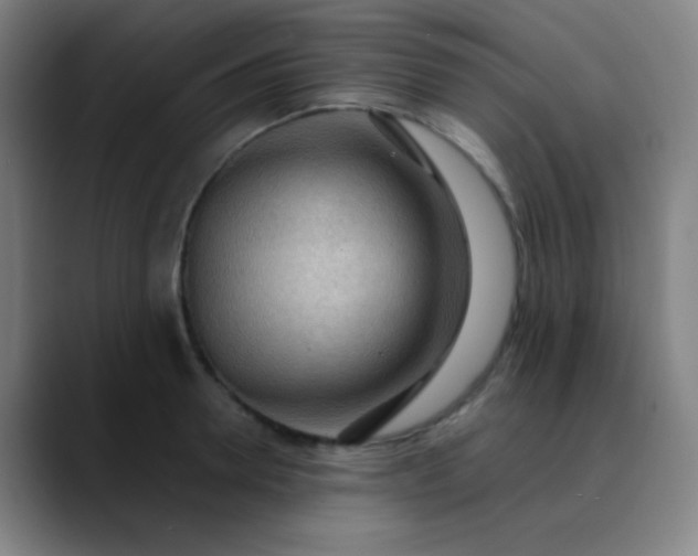 X0000089860946200707121733