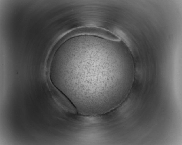 X0000089860948200707121733