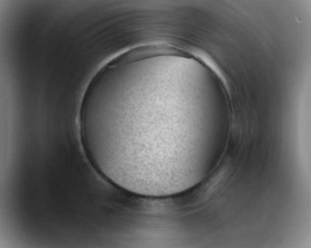 X0000089860951200707121733