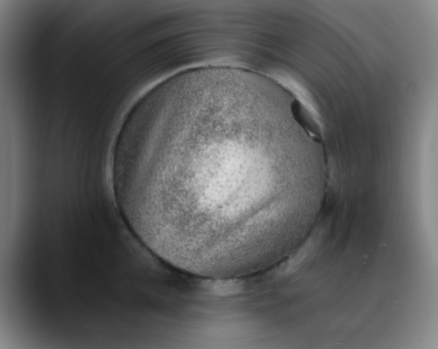 X0000089860952200707121733