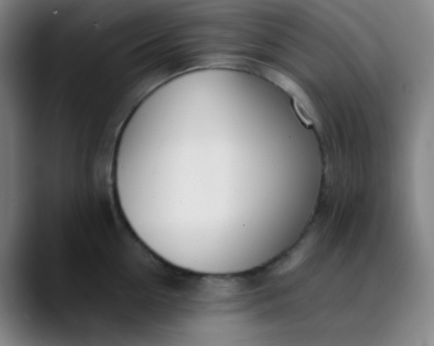 X0000089860954200707121733