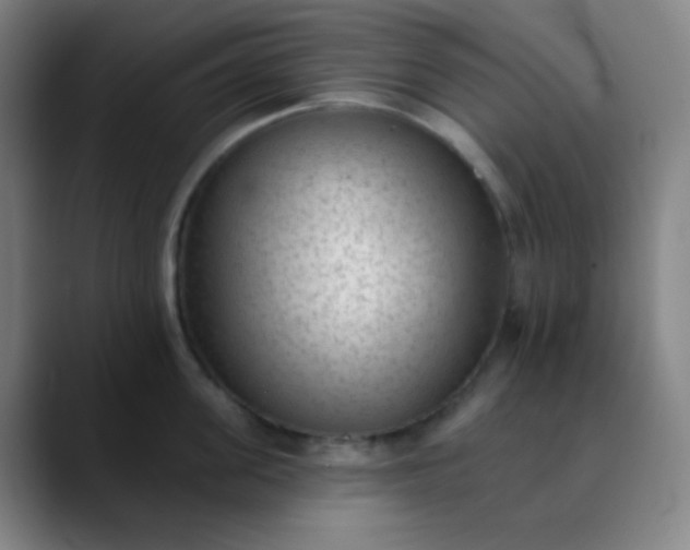 X0000089860955200707121733