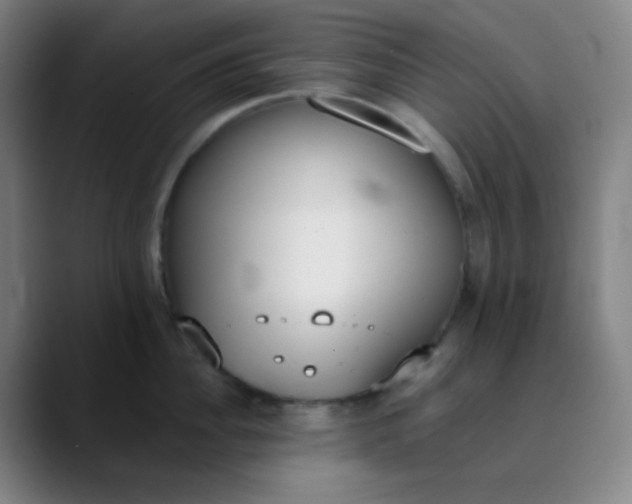 X0000089860956200707121734