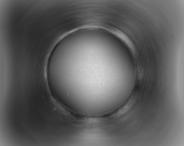 X0000089860958200707121734