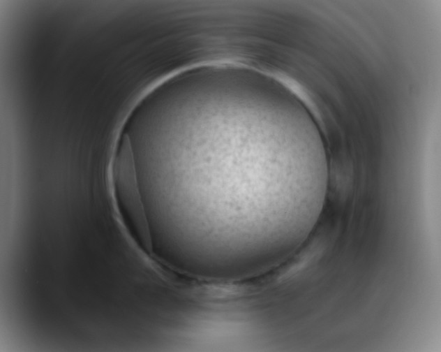 X0000089860959200707121734